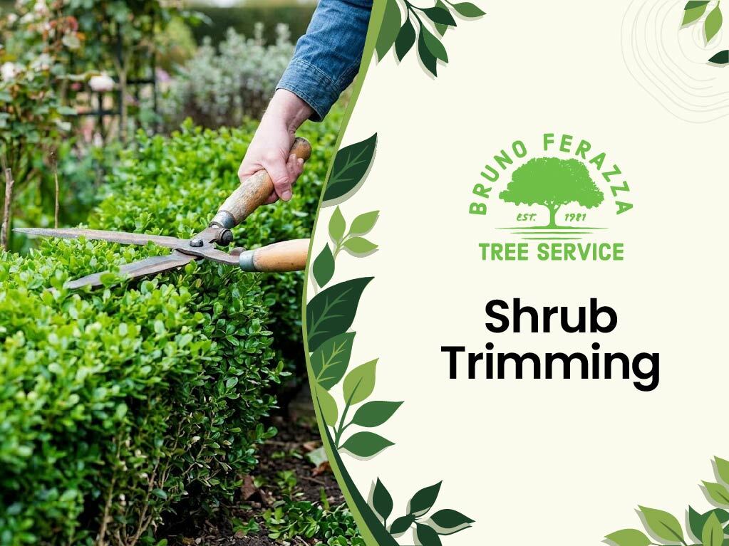 Shrub trimming