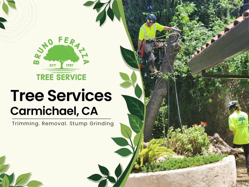Tree services in Carmichael, CA