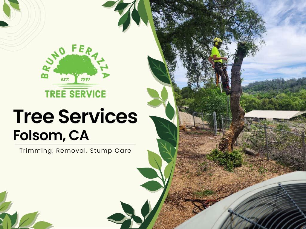 Tree services in Folsom, CA
