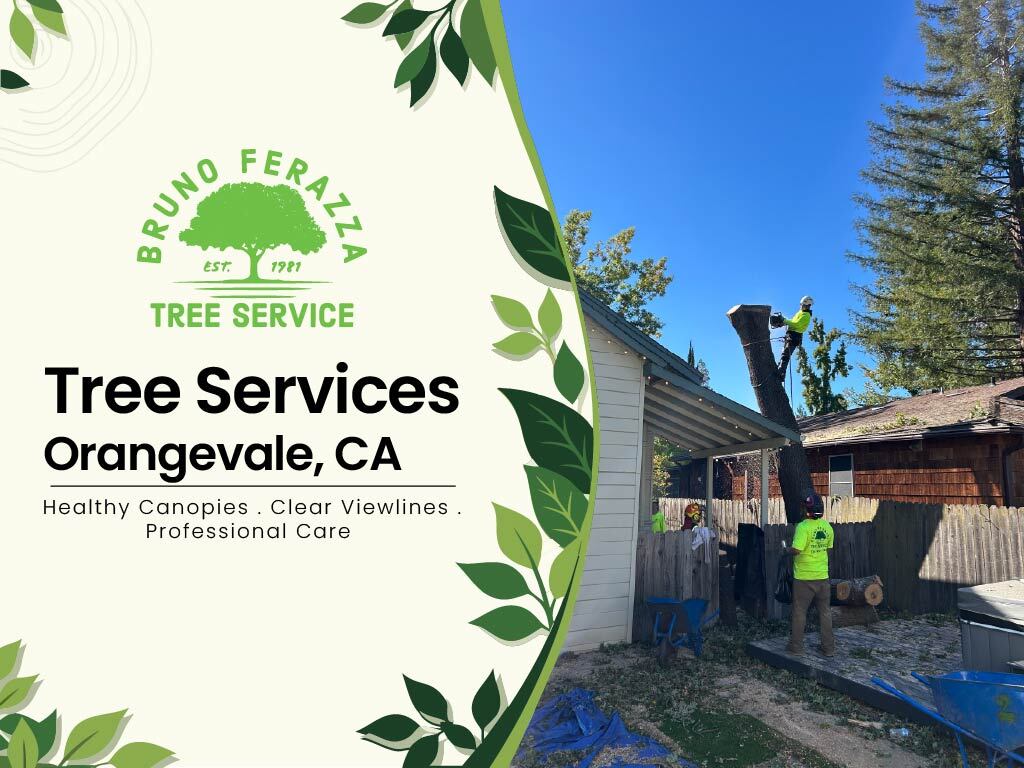 Tree services in Orangevale, CA