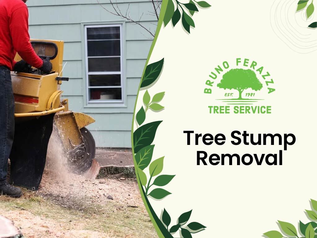Tree stump removal