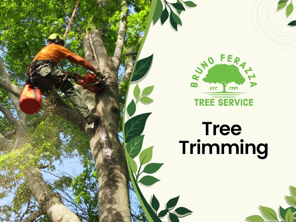 Tree trimming