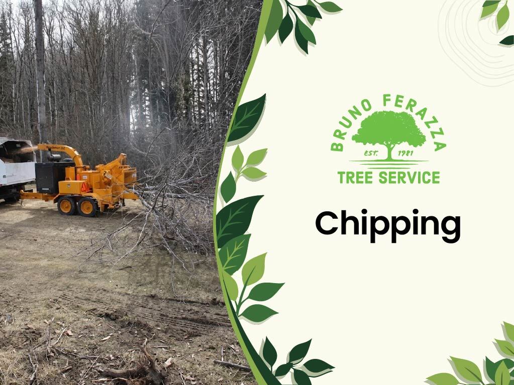 chipping