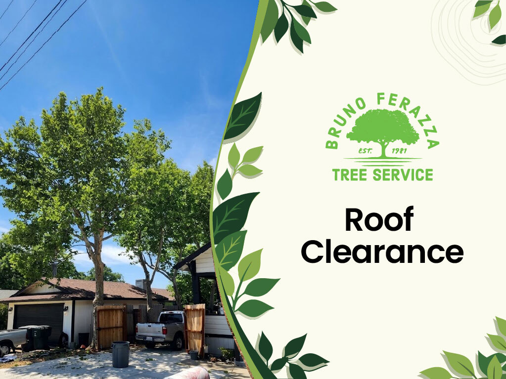 roof clearance