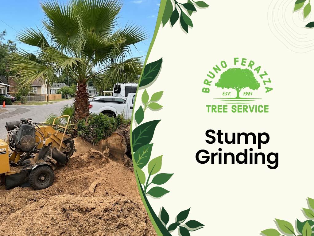 stump grinding
