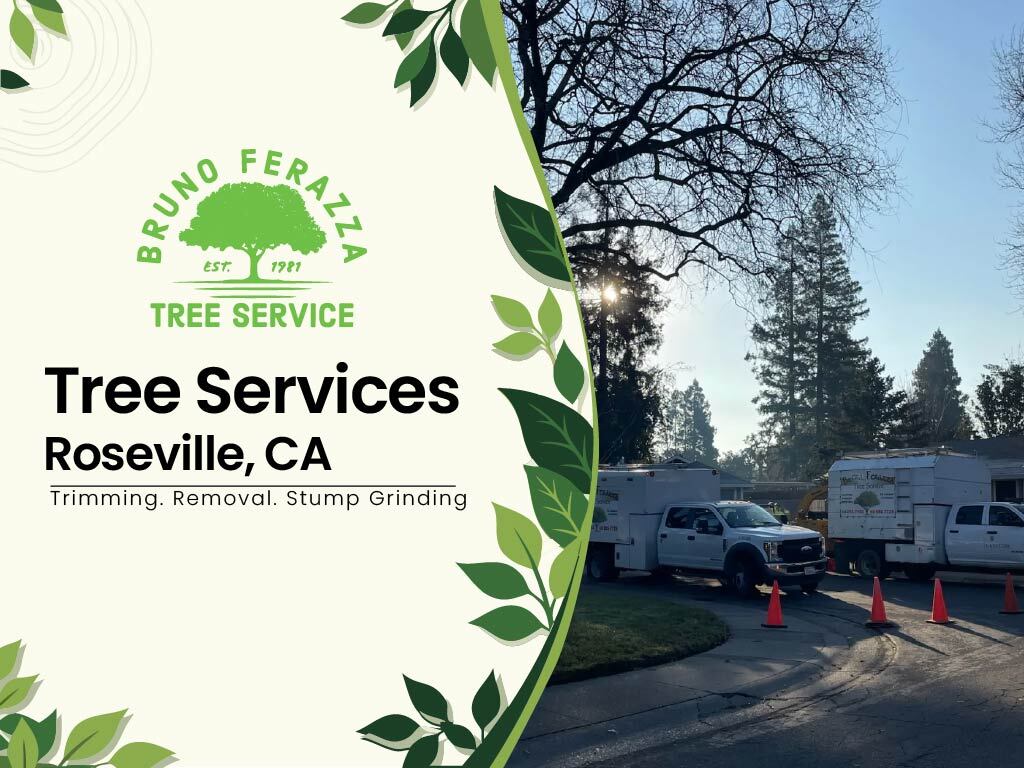 tree-services-roseville