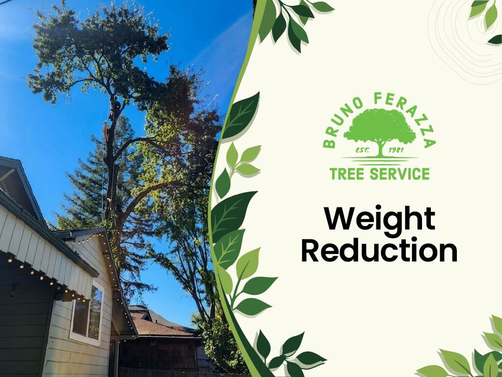 Tree Weight Reduction